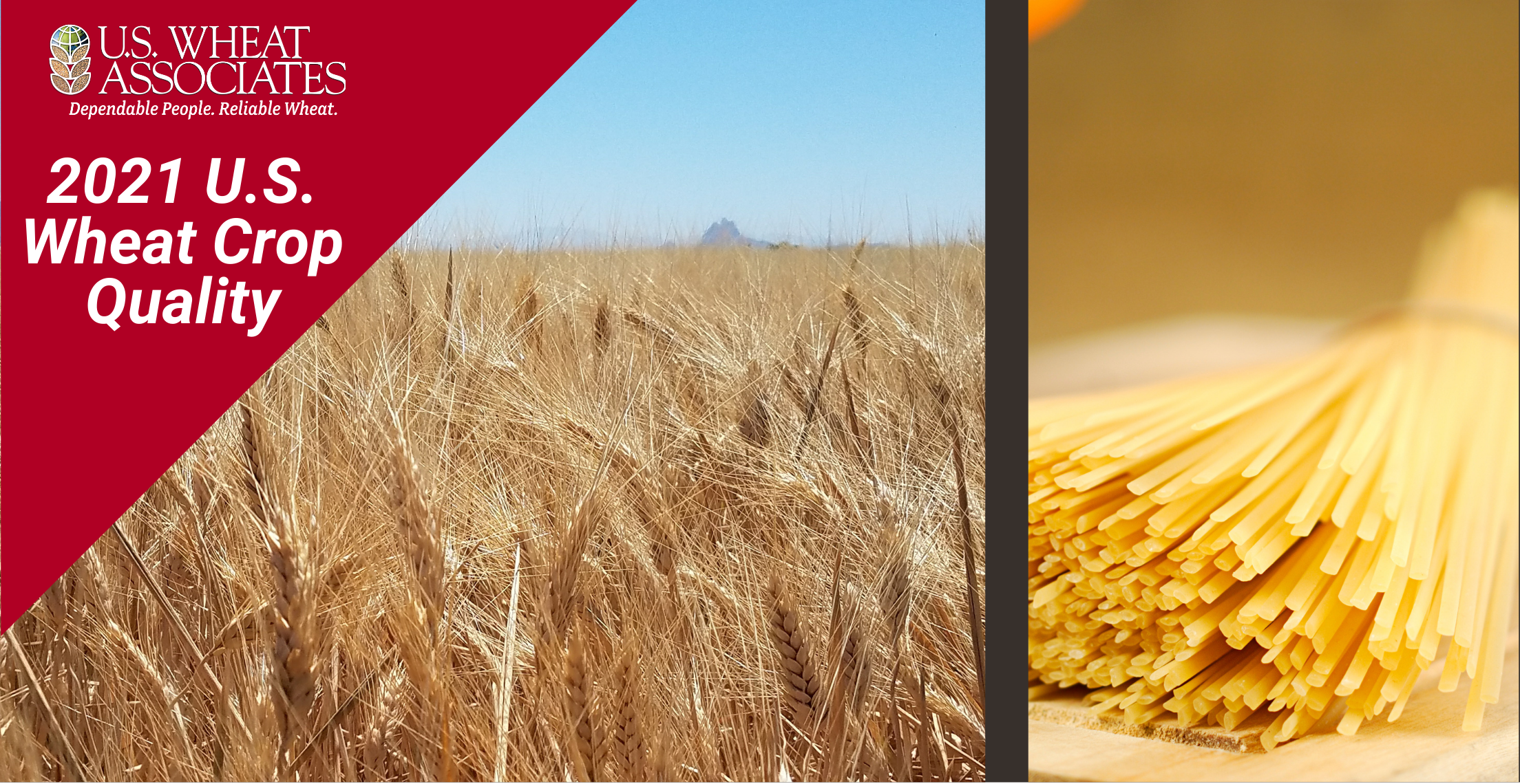 2021 Desert Durum® and California Hard Red Winter Wheat Crop Quality