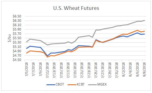 080818 US Wheat Futures