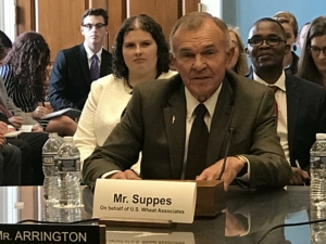 Photo of Kansas Farmer Ron Suppes testifying before Congress on the value of U.S. food aid programs.
