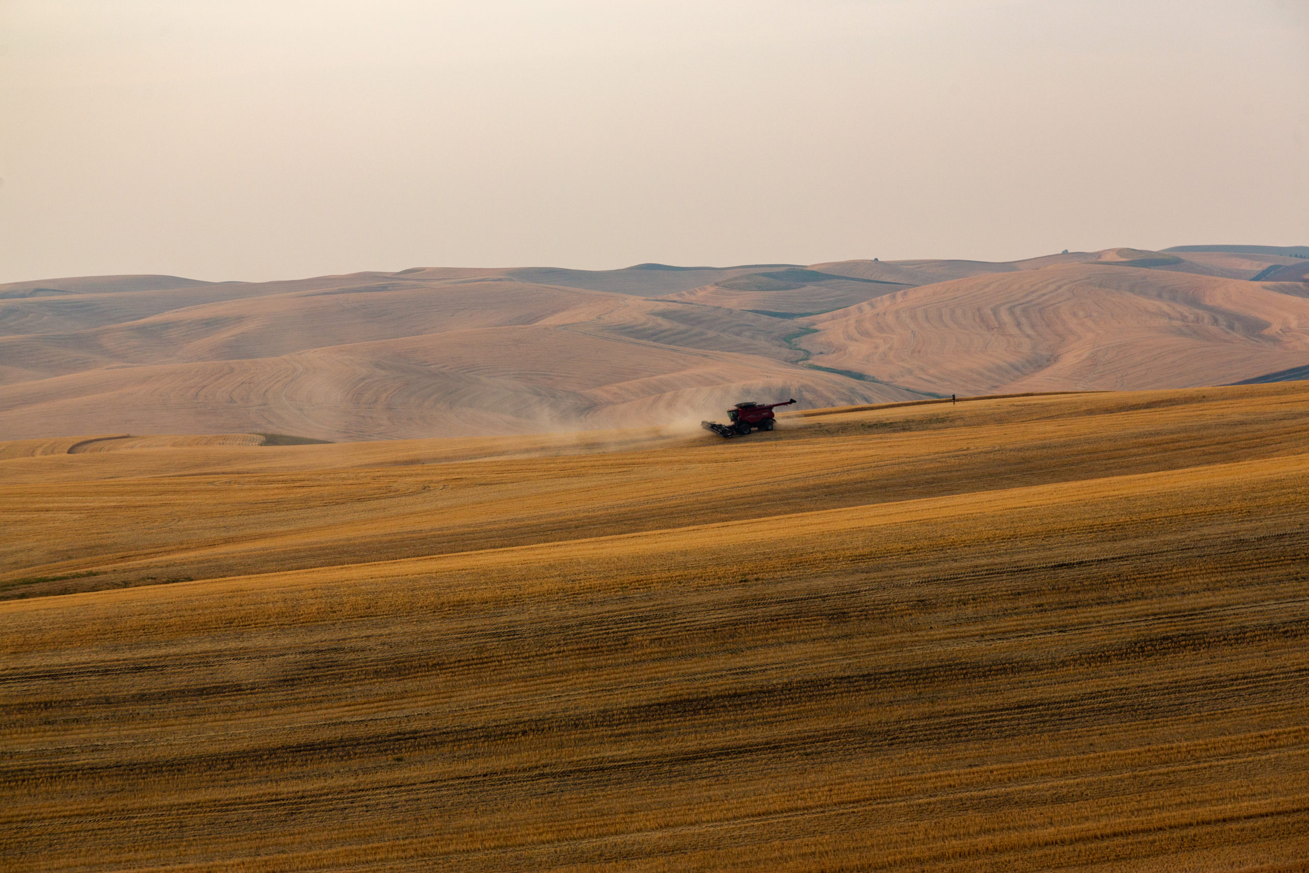 Photo of a combine in a golden wheat field the distance in front of mountains.
