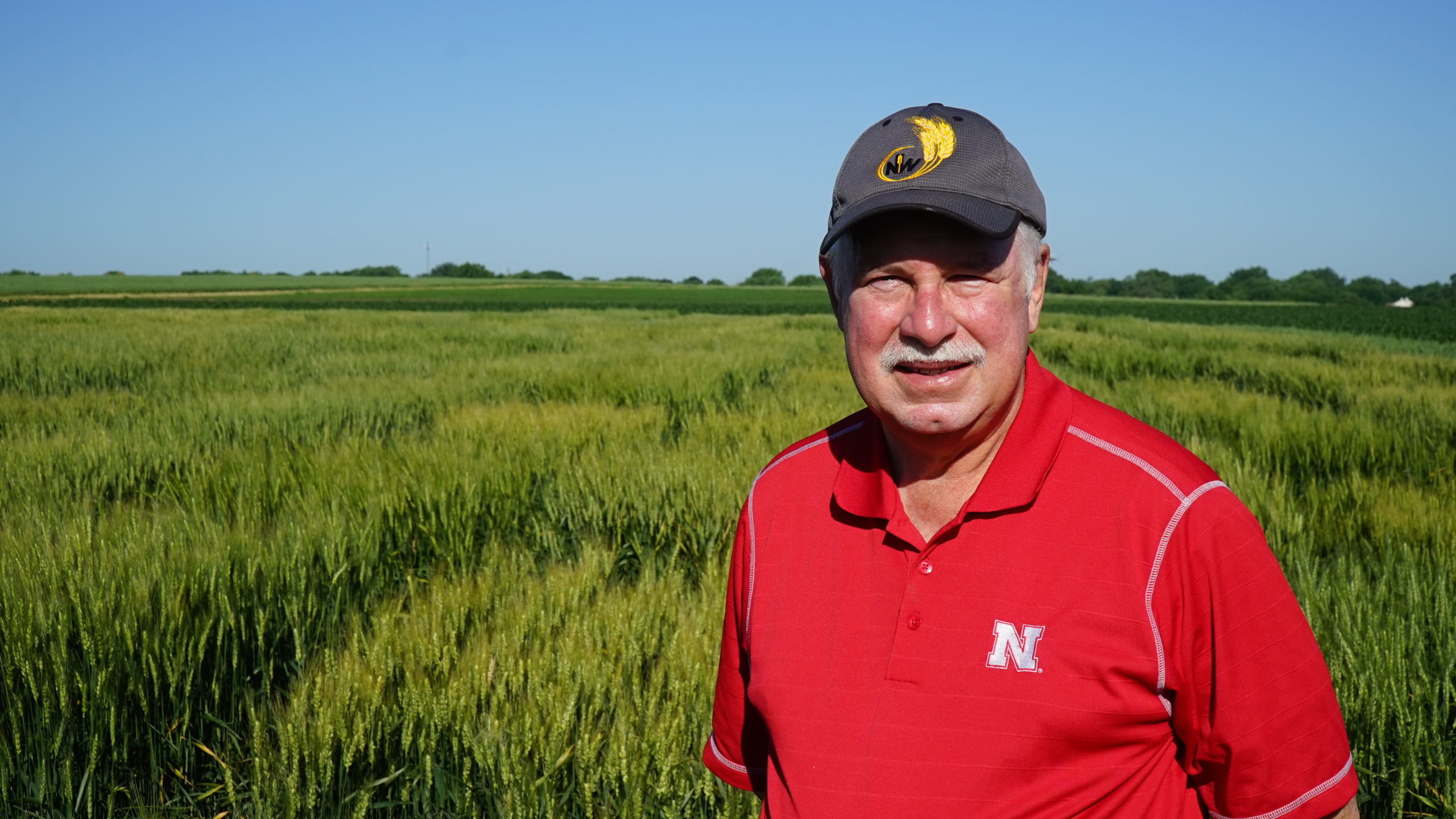 Dr. Stephen Baenziger leads Public Wheat Breeding Programs at University of Nebraska - Lincoln