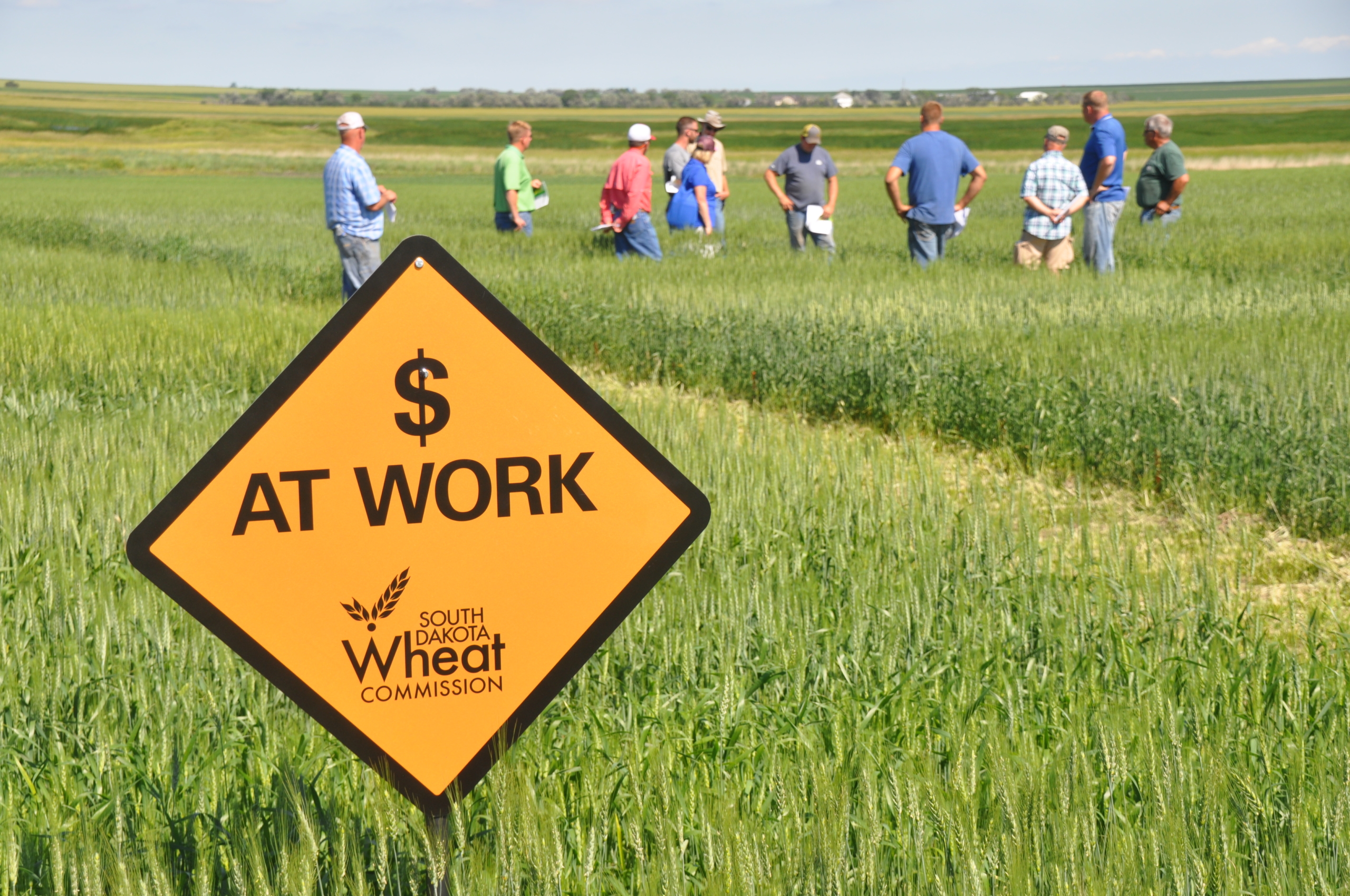 Public Wheat Breeding Programs are an investment by U.S. wheat farmers