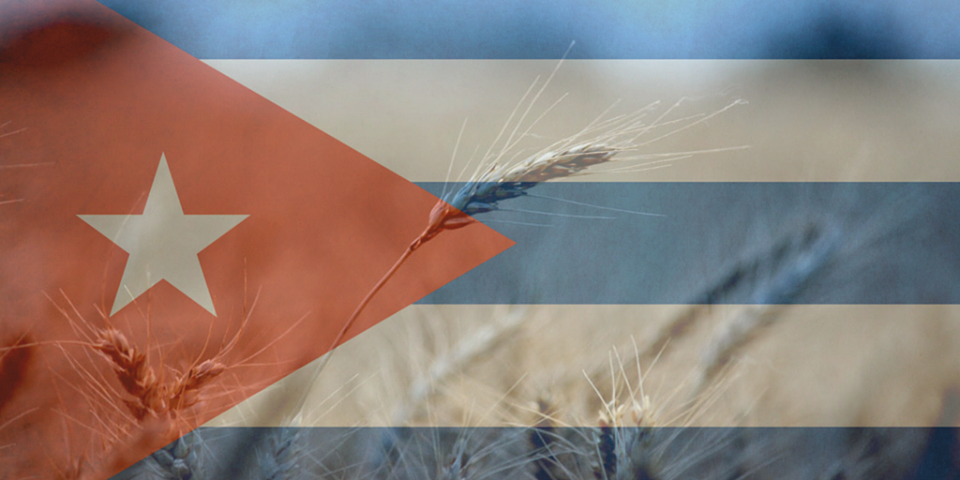 Flag and wheat representing the Cuban wheat market