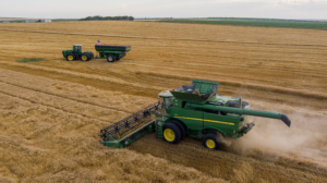 HRS wheat harvest 2022