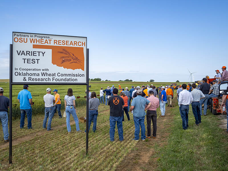 Wheat field day at OSU Lahoma Research Station