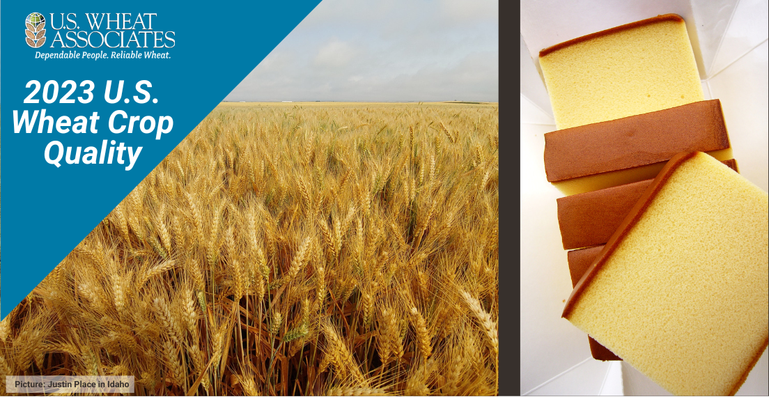 Multi-image graphic showing a soft white wheat crop and end product sponge cake.