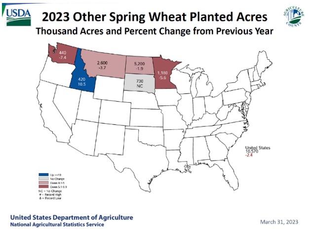 Map of U.S. states shows planted area and % change compared to 2022 for spring wheat.