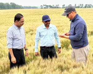 In a scene from an August 2023 trade team visit to North Dakota, wheat buyers from Nigeria and Kenya join North Dakota Wheat Commissioner and farmer Scott Huso in one of his fields to get a look at the wheat crop.