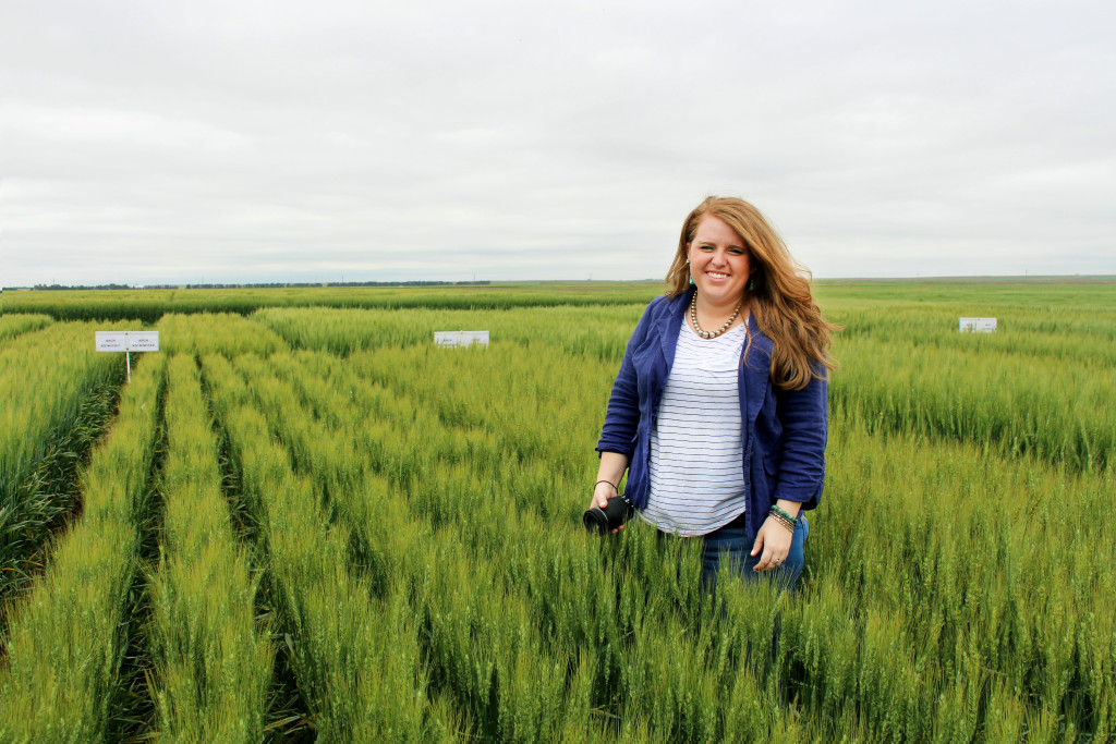 Photo of Amanda Spoo in a wheat variety research plot