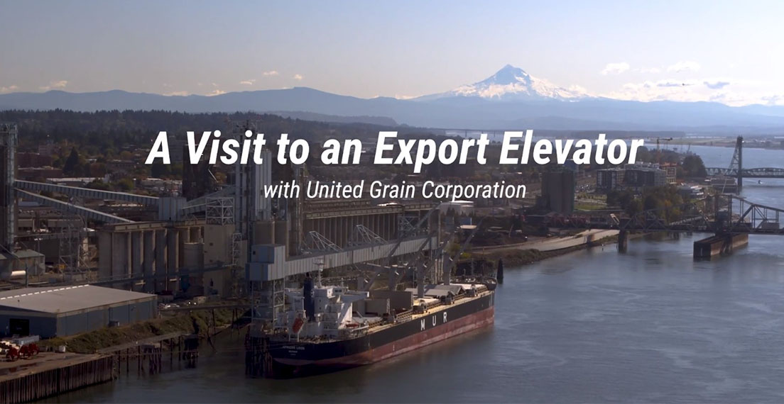 United Grain Corporation Export elevator