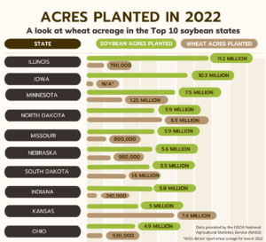 This chart shows acreage planted in soybeans and wheat in 2022 in the country's top 10 soybean states, according to USDA's National Agricultural Statistics Service.