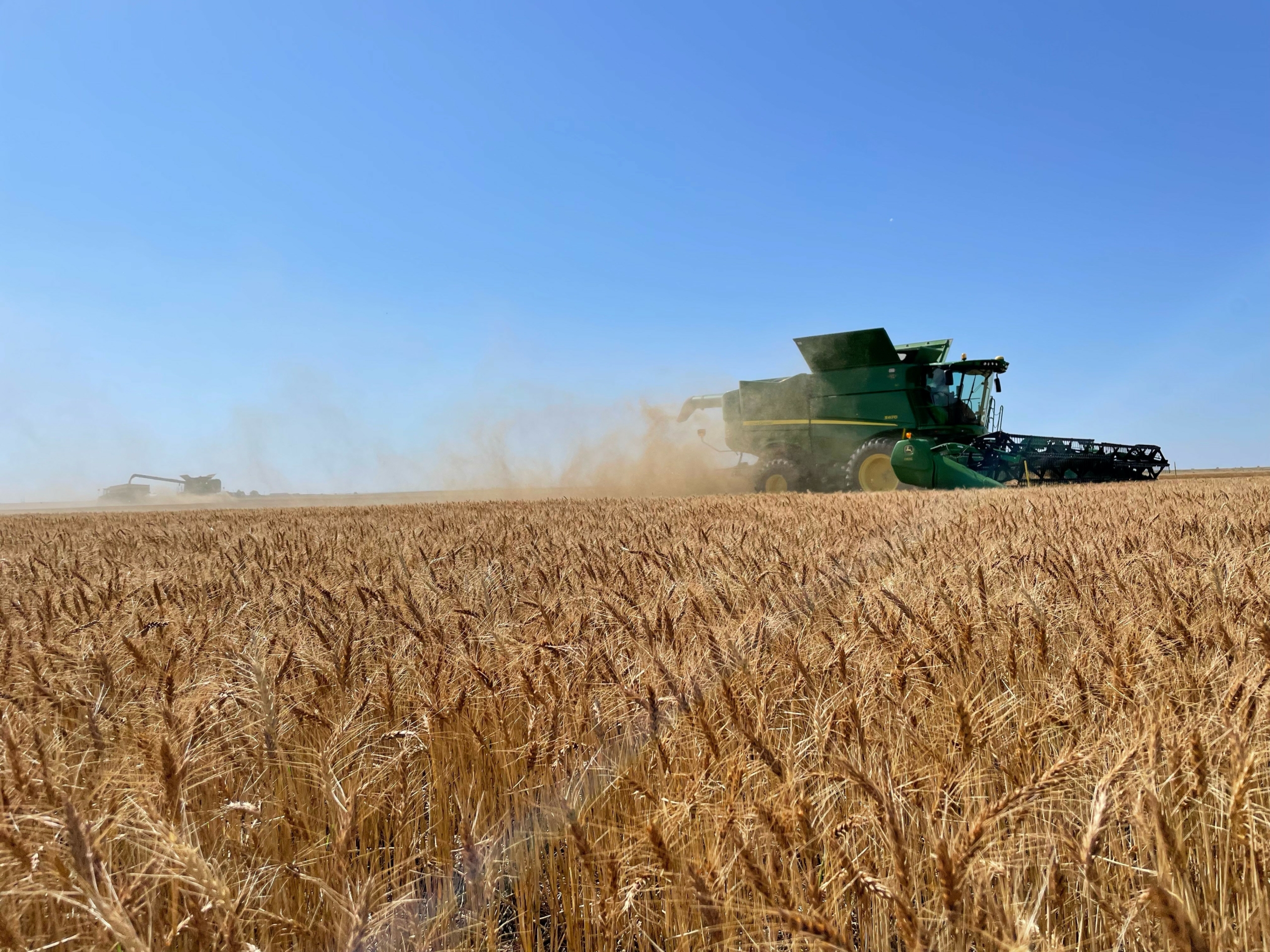 Hard red winter wheat harvest in Oklahoma at Adams Farms LLC - June 2022