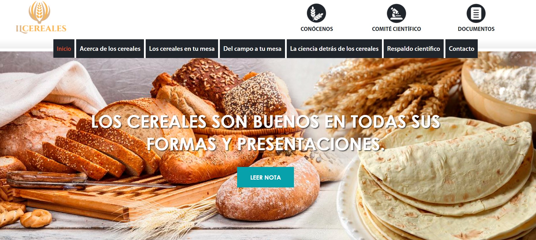 Image shows the top of the home page of the Latin American Cereals Institute (IL Cereales) website