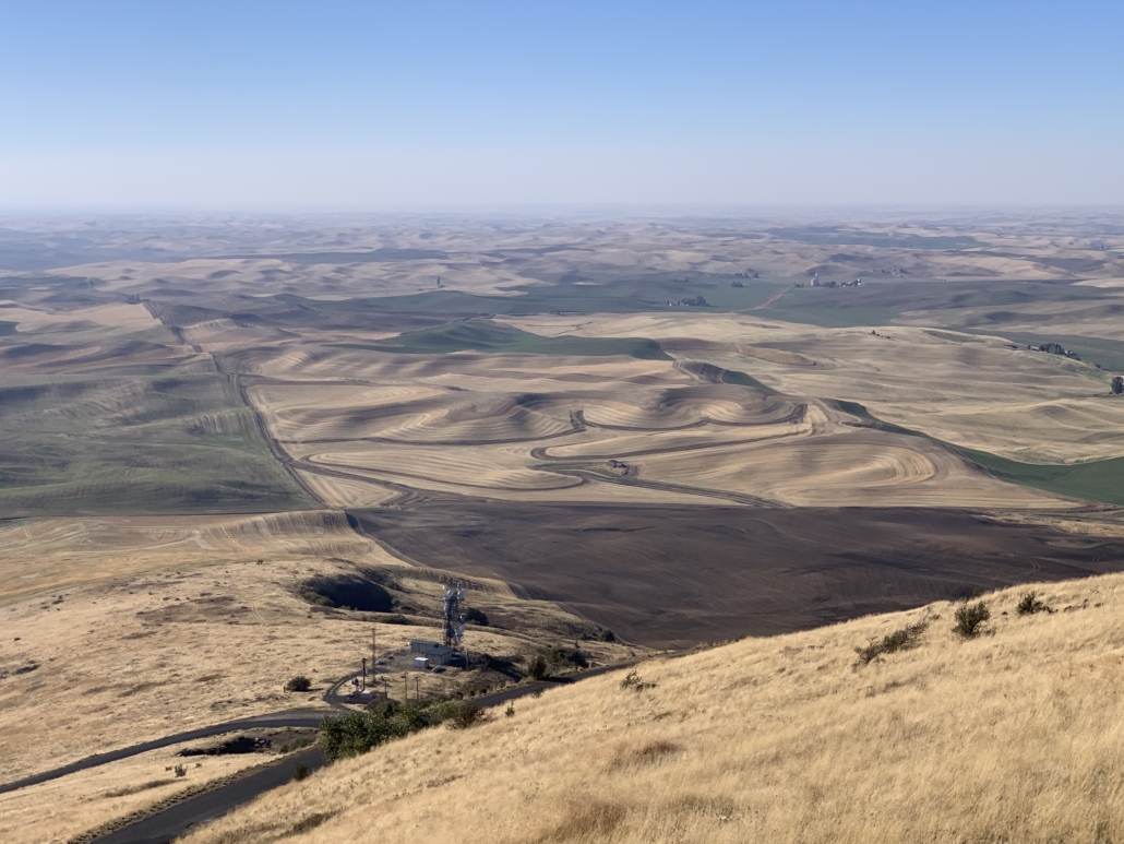 Wheat and fallow fields in eastern Washington's Palouse Country seen from the peak of Steptoe Butte