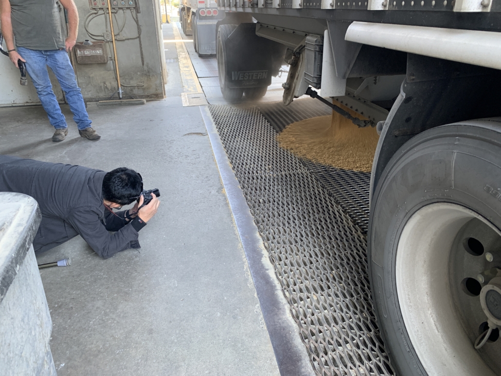 Korean journalist Changsup Song photographs soft white wheat being unloaded from a trailer at the Lewis and Clark Terminal in Lewiston, Idaho.