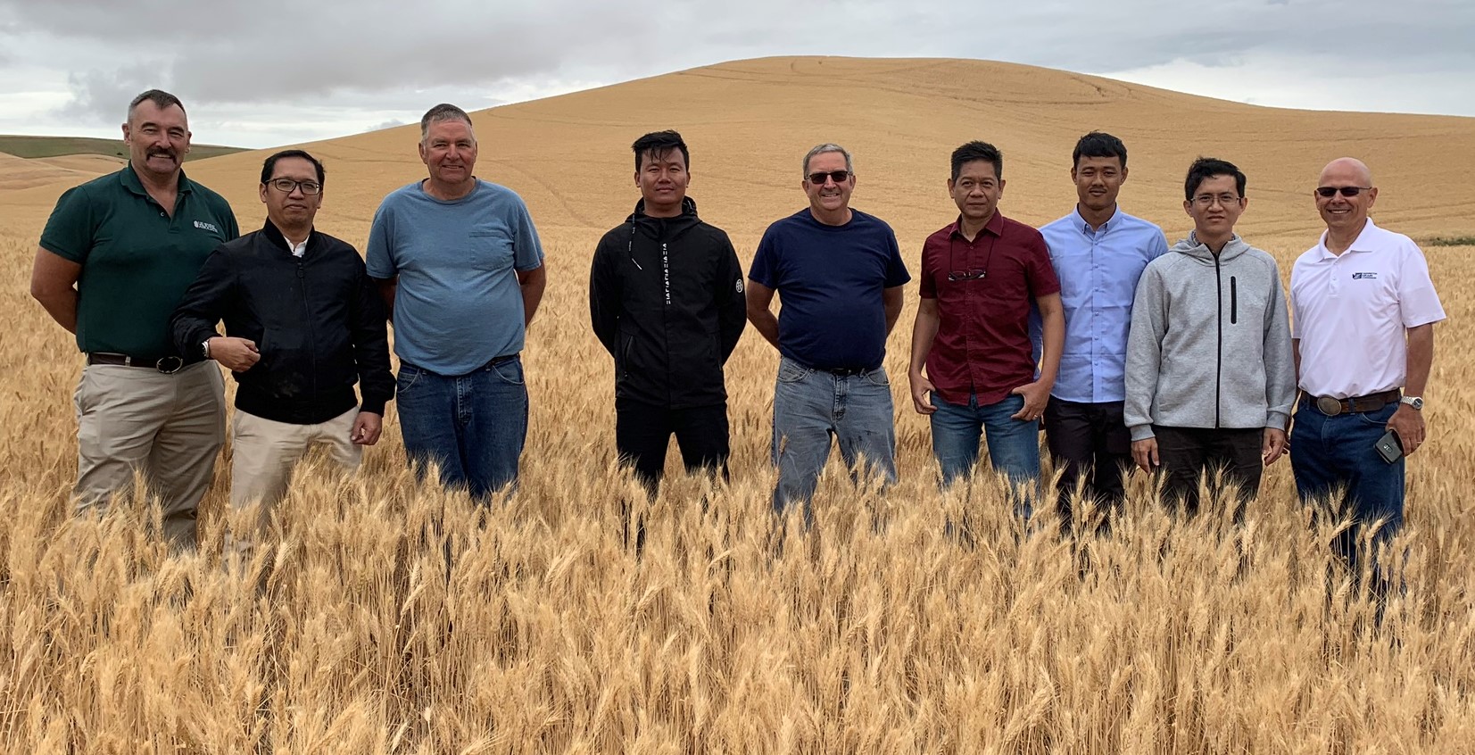 A group of men in a wheat field.
