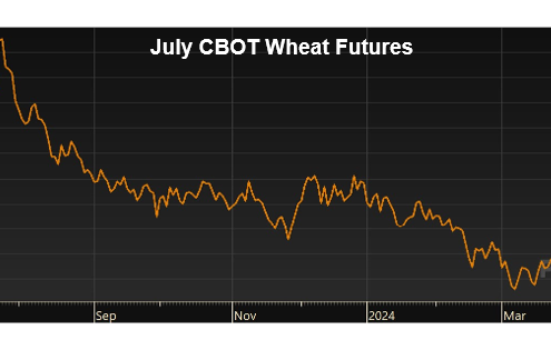 July CBOT Wheat Futures price chart shows early increases, a general trend down, then a fairly rapid increase between May 2023 and May 2024.