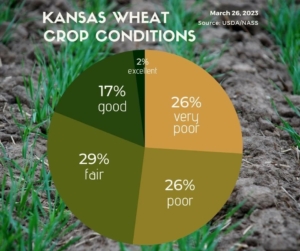 USDA data in a pie chart showing the range of wheat crop conditions in Kansas.