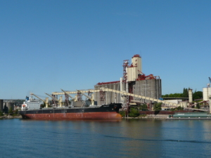 Vessel at port loading wheat to illustrate how dry bulk freight rates have declined.