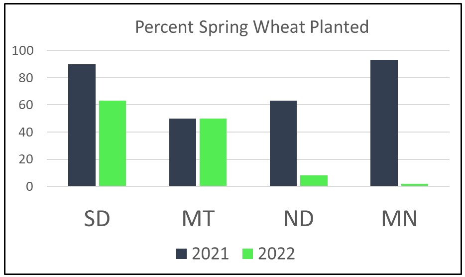 Chart showing spring wheat planting progress in 2022 v 2021.