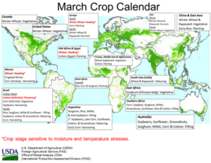 USDA world map showing the current state of major crops around the world including world wheat.