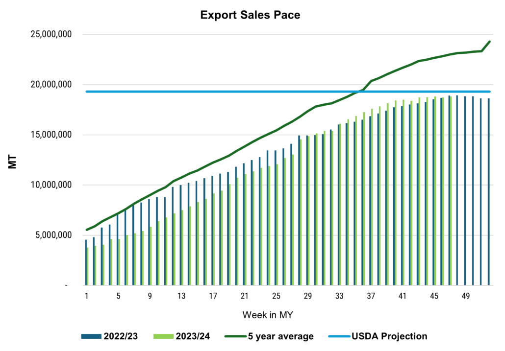 This line and bar chart compares USDA's export estimate to the by-week pace of sales in 2022/23 and 2023/24 and to the 5-year average sales pace, indicating a decline in sales.