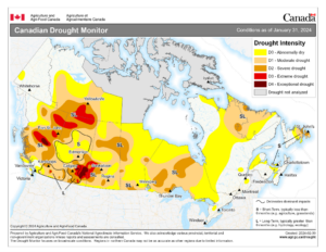 This map of Canada shows current drought conditions as of Jan. 31, 2024.