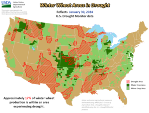 USDA/NOAA Map of Winter Wheat in Drought from Jan. 30, 2024.