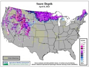 Map of the U.S. from USDA reports showing snow depth and winter wheat production areas.
