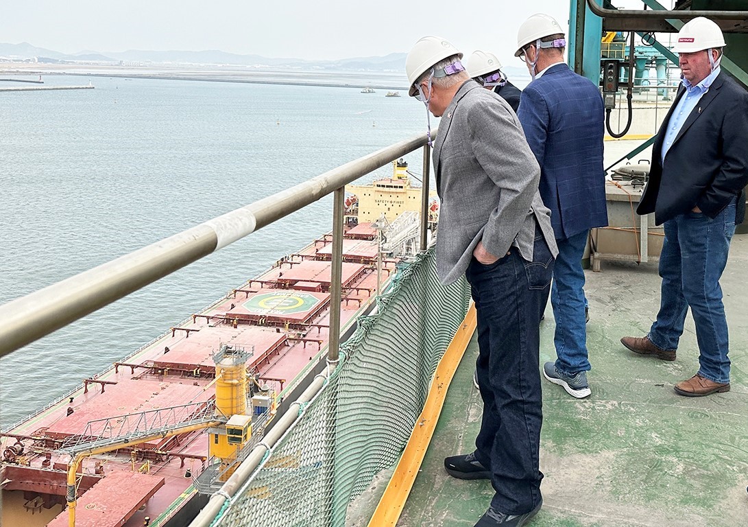 U.S. wheat farmers on a U.S. Wheat Associates Board Team at Korea's Taeyoung Grain Terminal looking down at a bulk vessel carrying imported U.S. wheat being unloaded.