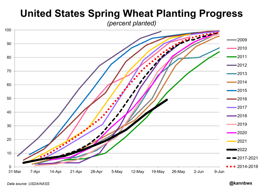 A line chart showing U.S. spring wheat planting progress.