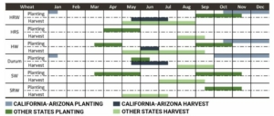 Chart showing seasonal U.S. winter wheat and spring wheat planting and harvesting schedule.