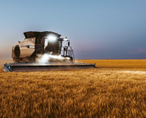 Photo of Gleaner combine in a Colorado wheat field late evening 2022.