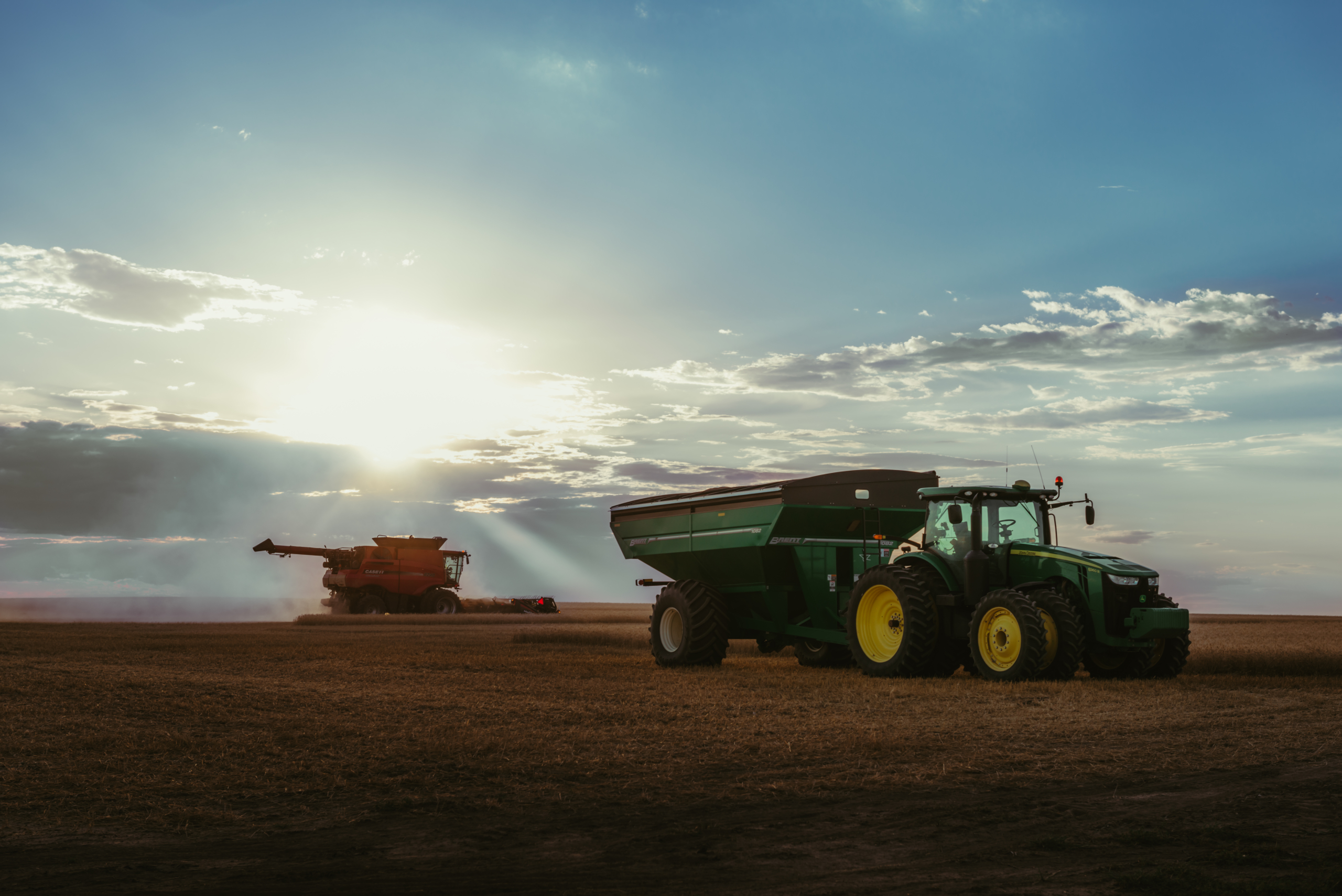 Nebraska Wheat Harvest for Wheat Industry News post