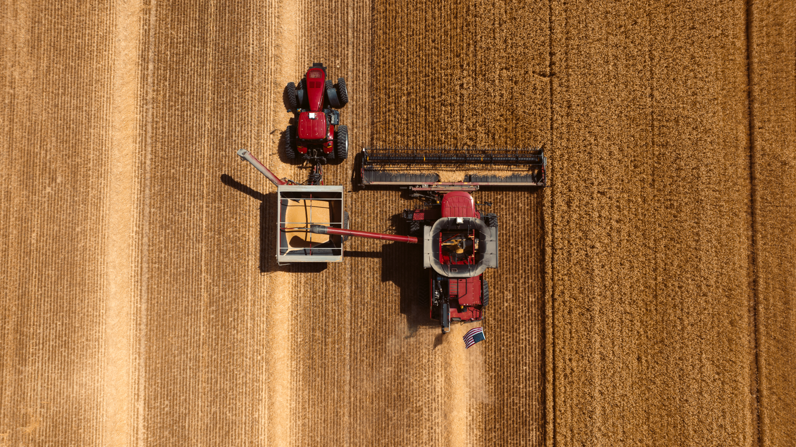 Aerial photo of a red combine harvesting wheat while unloading soft red winter wheat into a wagon pulled by a red, 4WD tractor in Ohio in 2022.