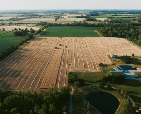 Image shows how precision agriculture helps make wheat farming more efficient and sustainable.