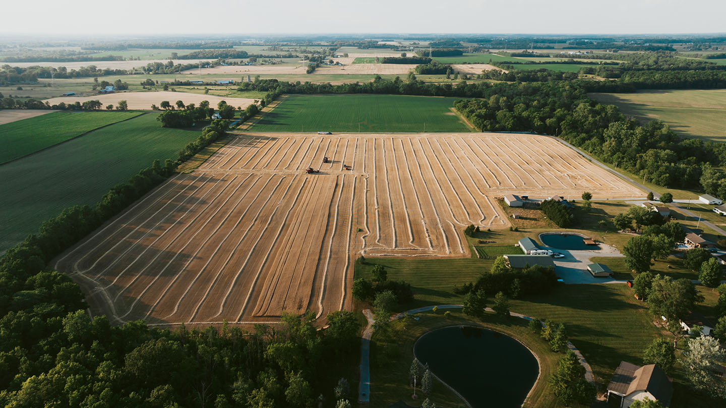 Image shows how precision agriculture helps make wheat farming more efficient and sustainable.