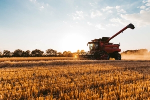 Wheat harvest in 2022 on BS Farms, Harrod, Ohio.