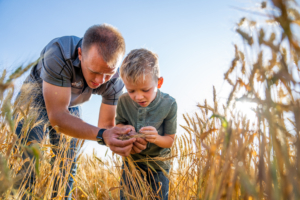 A man and a young boy leaning down and looking at wheat kernels in a wheat field.