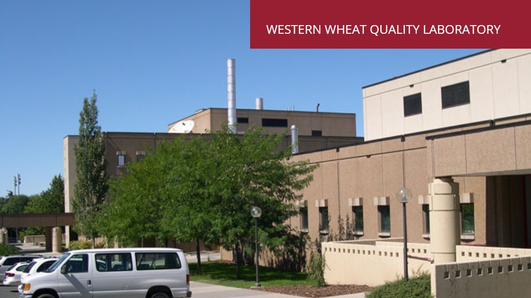 Photo of the Western Wheat Quality Laboratory