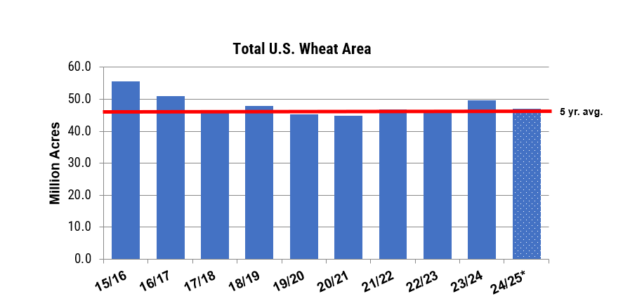 Bar chart from USDA;s 2024 outlook shows wheat harvested area over the last 10 years.