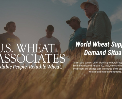 Image shows farmers in a wheat field with the USW logo and World Wheat Supply and Demand headline to illustrate story on wheat prices.