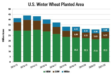 Winter Wheat Planted area from 2021 to 2022