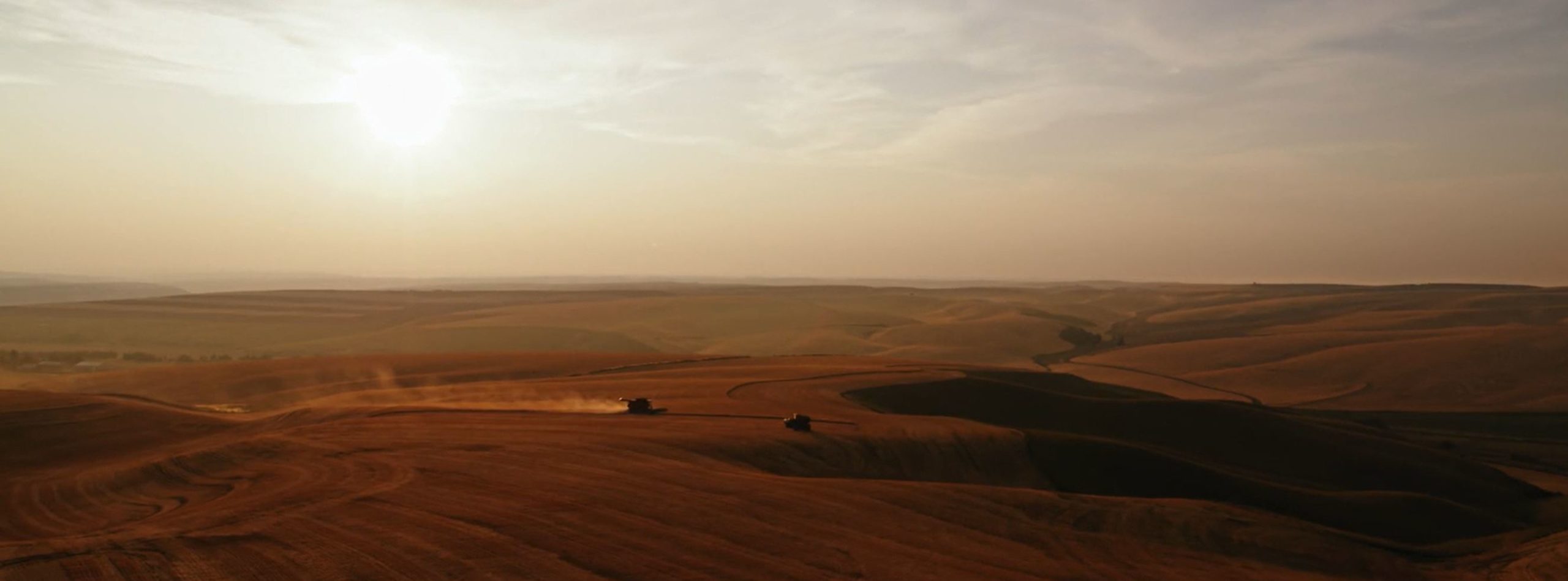 2019 wheat harvest in the Palouse in Washington State