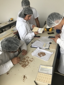 USW's Online Baking Certification program build's upon an effort to create awareness of U.S. wheat in South America. Pictured here is an in-person workshop conducted in USW's Santiago office in 2019, prior to the COVID pandemic.