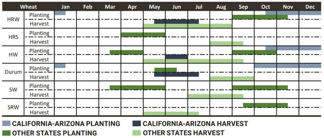 wheat seeding and harvest calendar