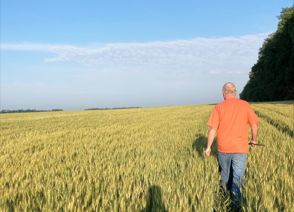 The tour included the examination of more than 300 spring wheat and durum fields in North Dakota and western Minnesota. It was supplemented by information about the timing of the current crop, along with the weather patterns that affect it.