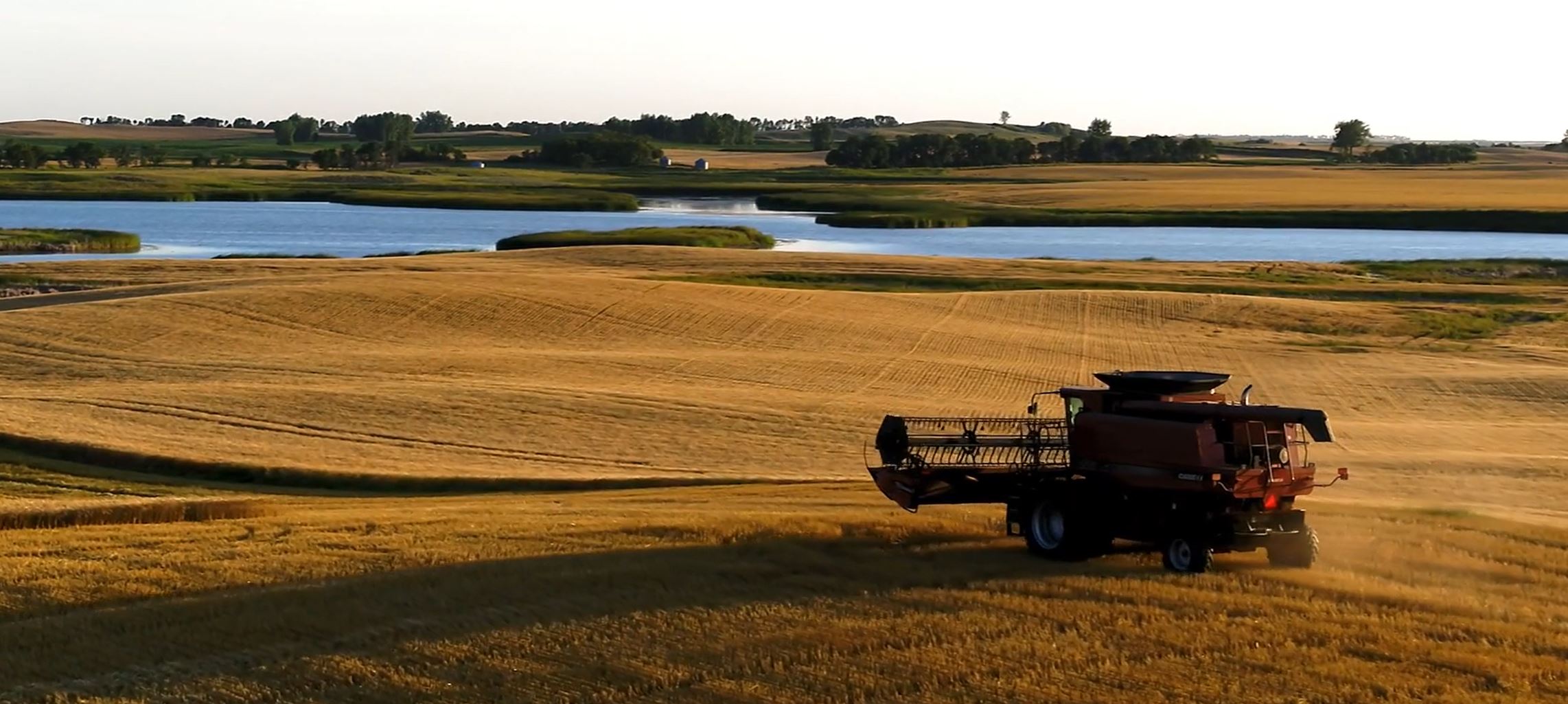 U.S. wheat farmers share a way of life in North Dakota